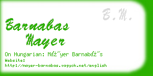 barnabas mayer business card